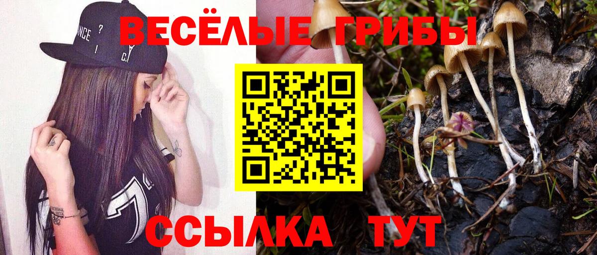 Псилоцибиновые грибы GOLDEN TEACHER Братск