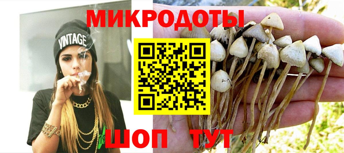 Галлюциногенные грибы Psilocybine cubensis  Вход с VPN  Братск 